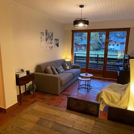 Residence Bois Du Bouchet, Appartement Vue Montagne, Calme, Parking Gratuit, Proche Centre Chamonix Extérieur photo
