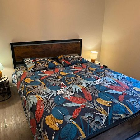 Residence Bois Du Bouchet, Appartement Vue Montagne, Calme, Parking Gratuit, Proche Centre Chamonix Extérieur photo