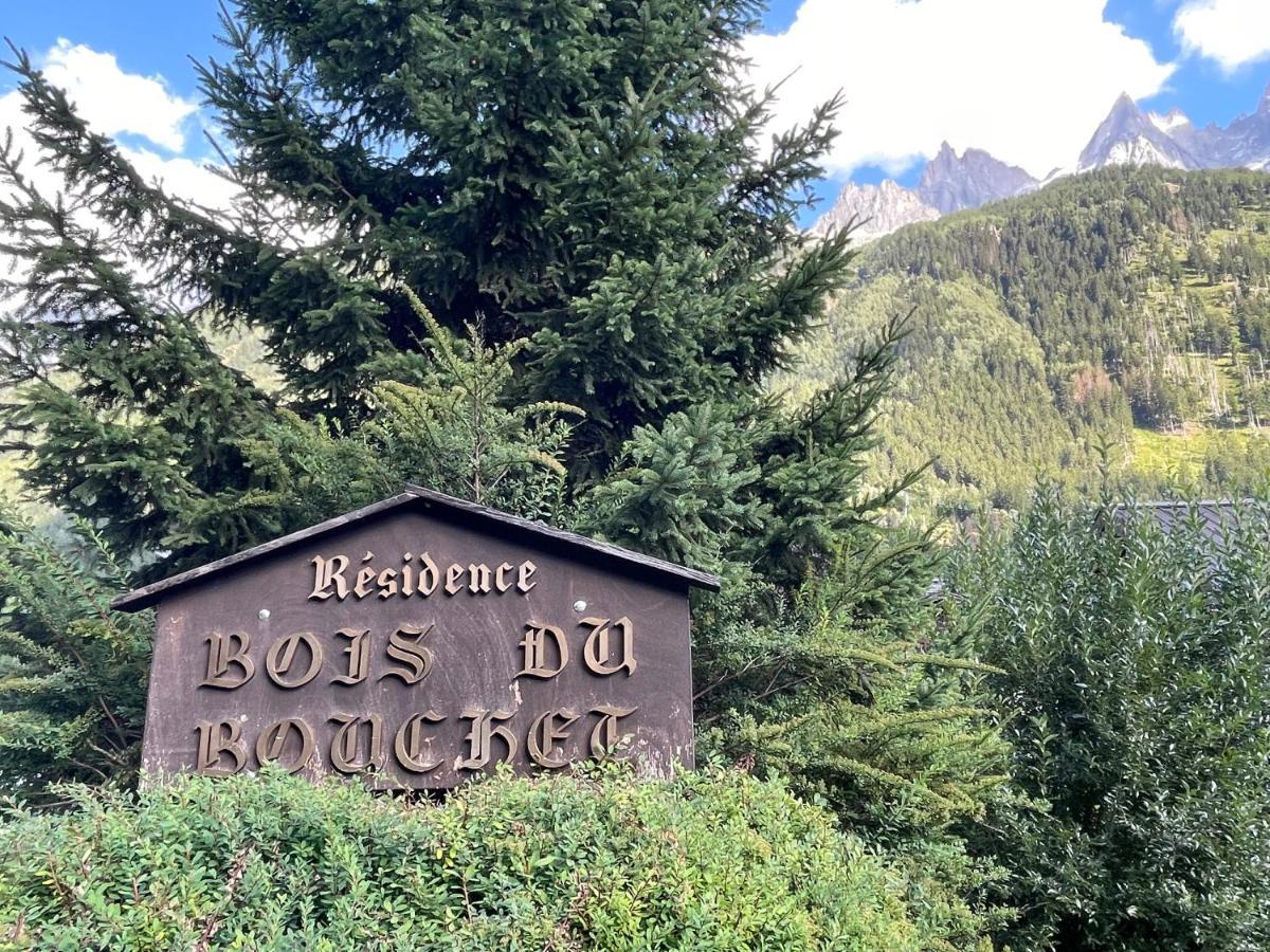 Residence Bois Du Bouchet, Appartement Vue Montagne, Calme, Parking Gratuit, Proche Centre Chamonix Extérieur photo