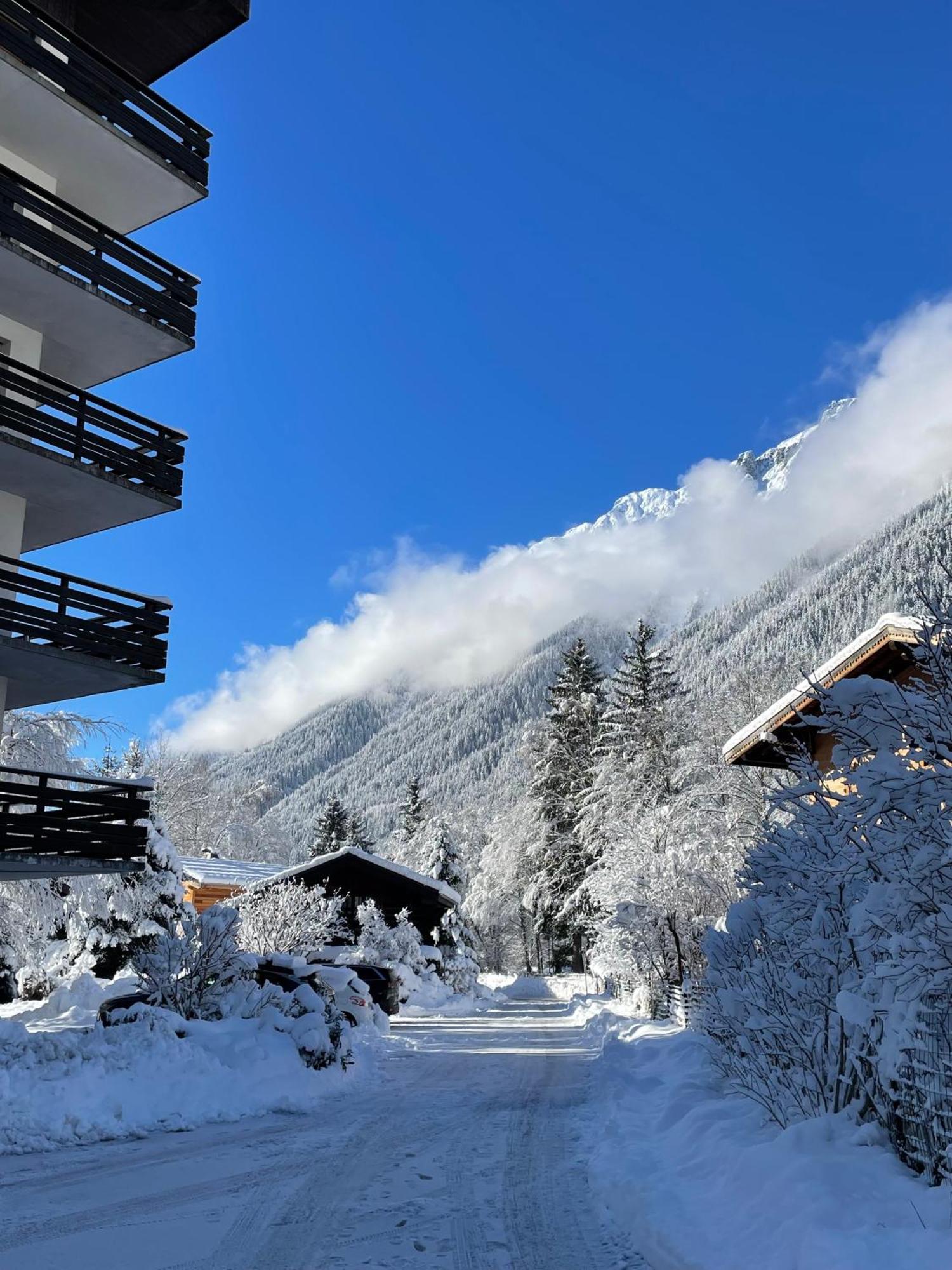Residence Bois Du Bouchet, Appartement Vue Montagne, Calme, Parking Gratuit, Proche Centre Chamonix Extérieur photo