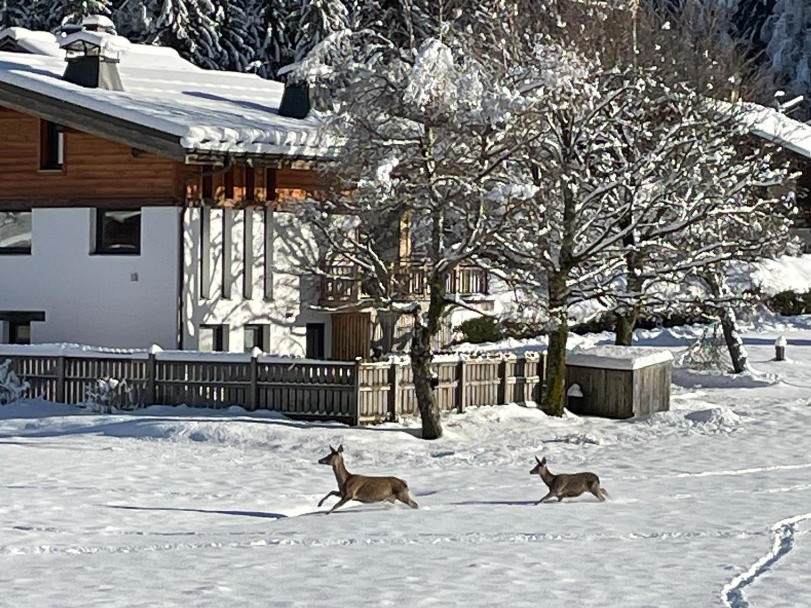 Residence Bois Du Bouchet, Appartement Vue Montagne, Calme, Parking Gratuit, Proche Centre Chamonix Extérieur photo