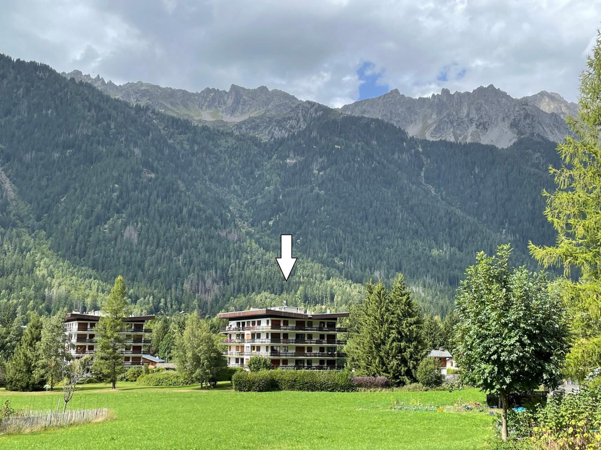 Residence Bois Du Bouchet, Appartement Vue Montagne, Calme, Parking Gratuit, Proche Centre Chamonix Extérieur photo