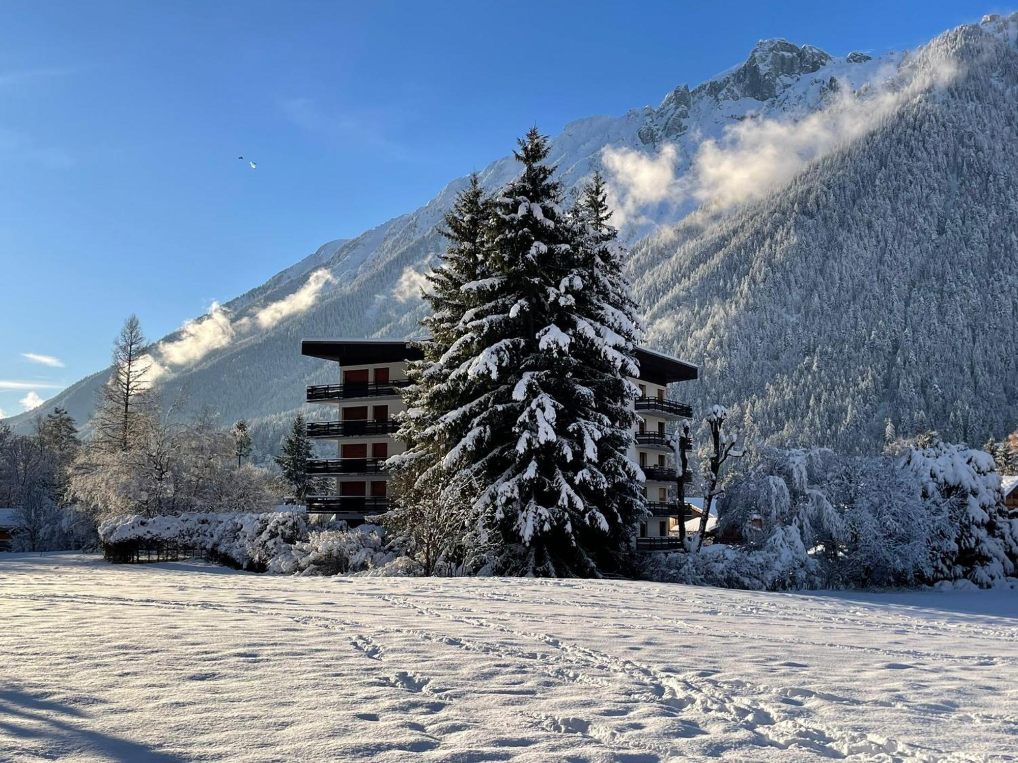 Residence Bois Du Bouchet, Appartement Vue Montagne, Calme, Parking Gratuit, Proche Centre Chamonix Extérieur photo